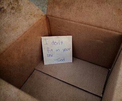 I Don't Fit in Your Box